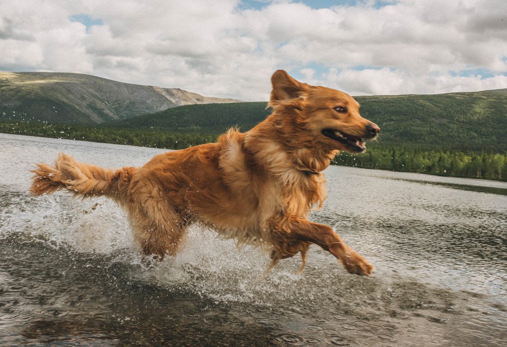 Photograph by Тень Таня