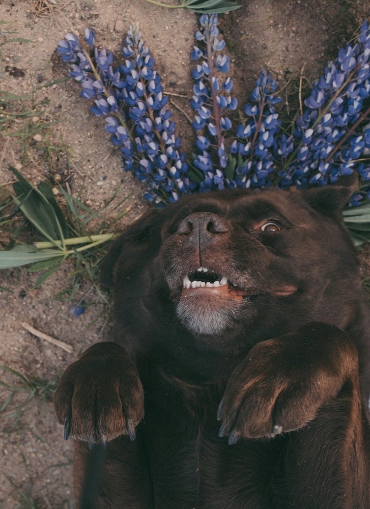 Photograph by Тень Таня