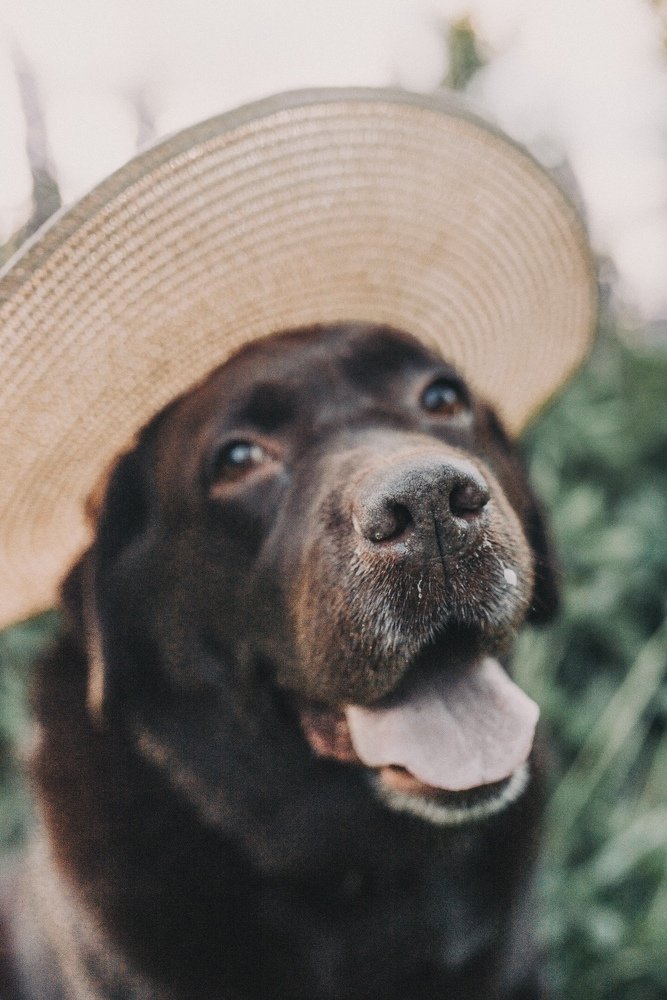 Photograph by Тень Таня