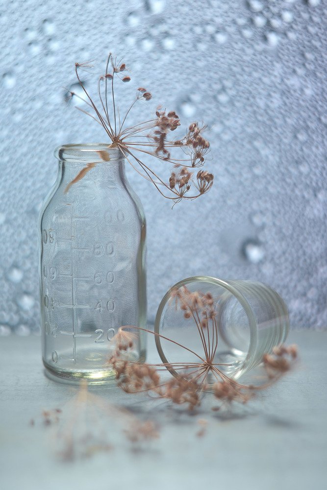 Фотография автора Вячеслав Владимирович