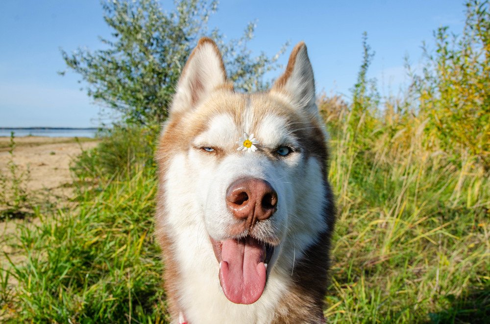 Photograph by Олег Смирнов