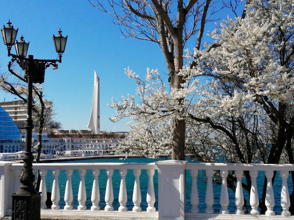 Цветет миндаль. Весенний Севастополь.