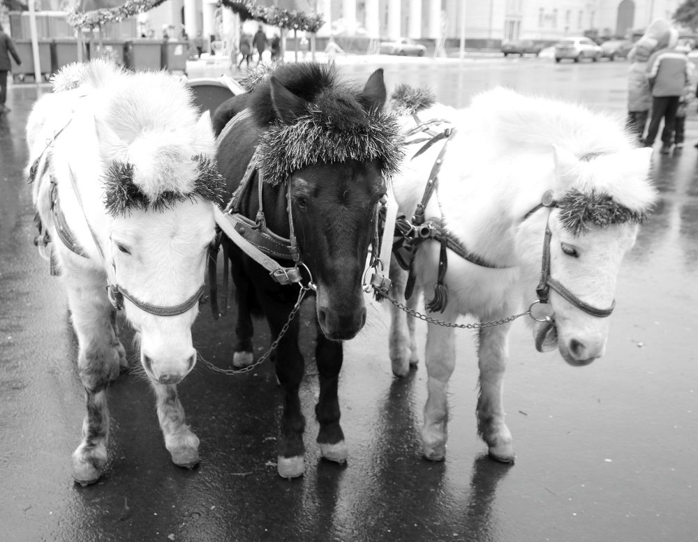 Photograph by Юрий Варюхин