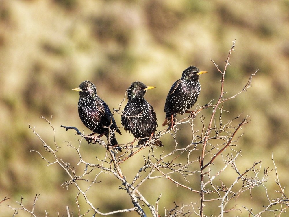 Photograph by Дмитрий Батагов