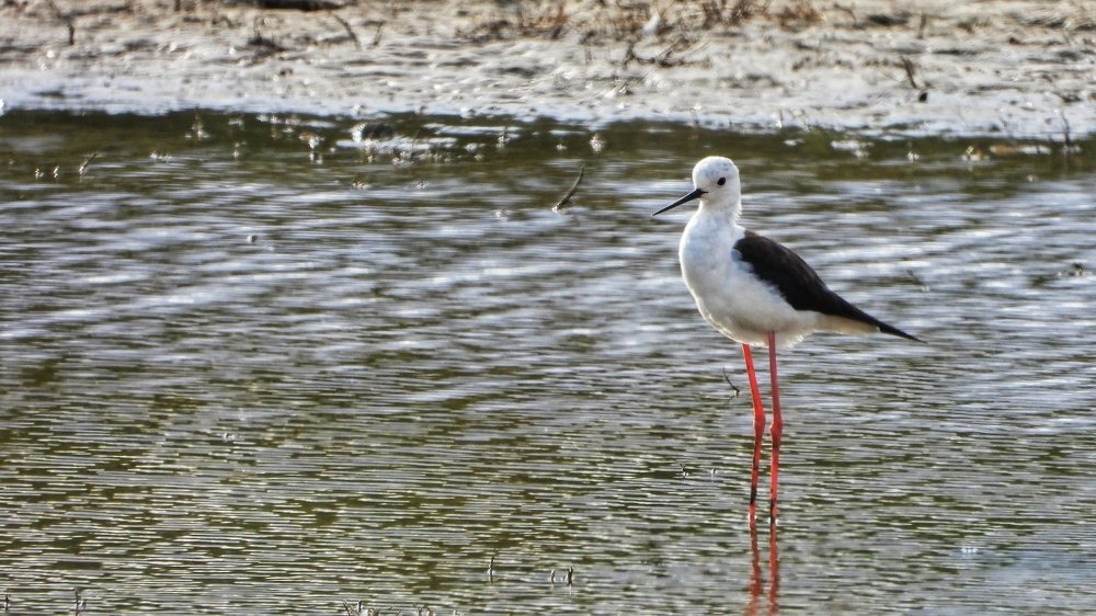 Photograph by Дмитрий Батагов
