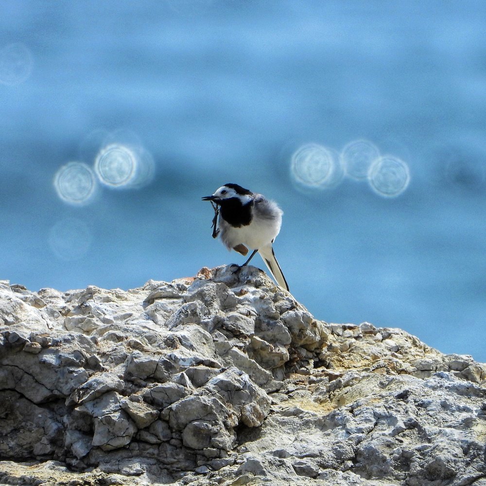 Photograph by Дмитрий Батагов