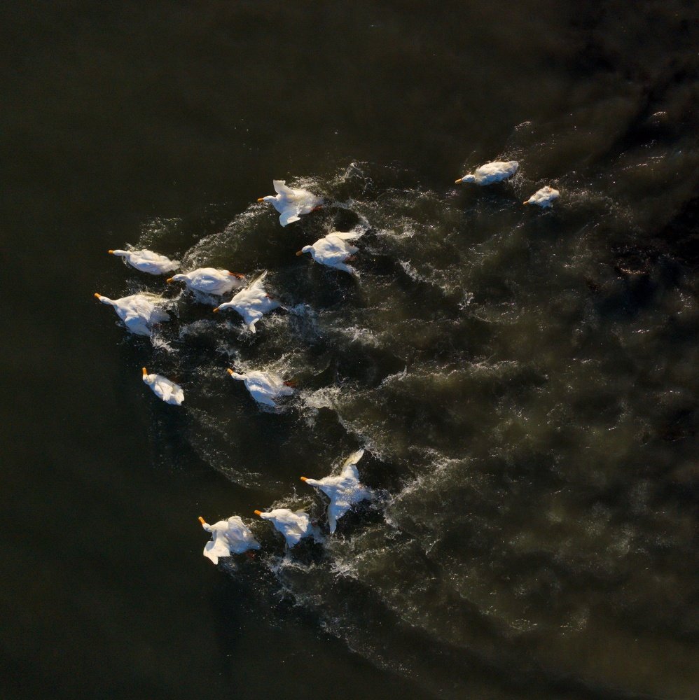 Photograph by Дмитрий Батагов