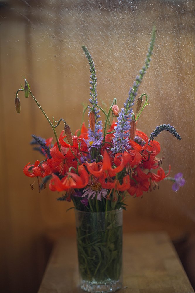 Photograph by Надежда Моряхина