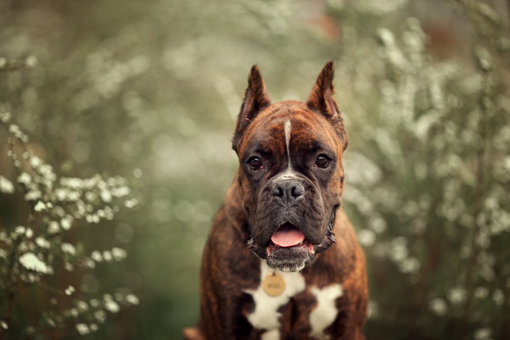 Photograph by Александра Дуке