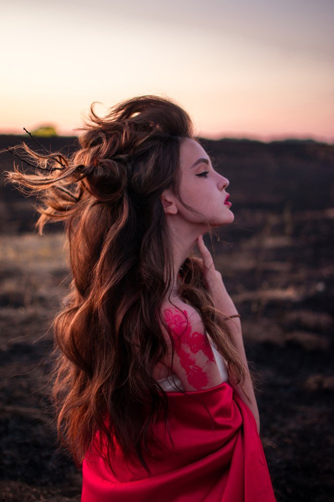 Дракон на закате