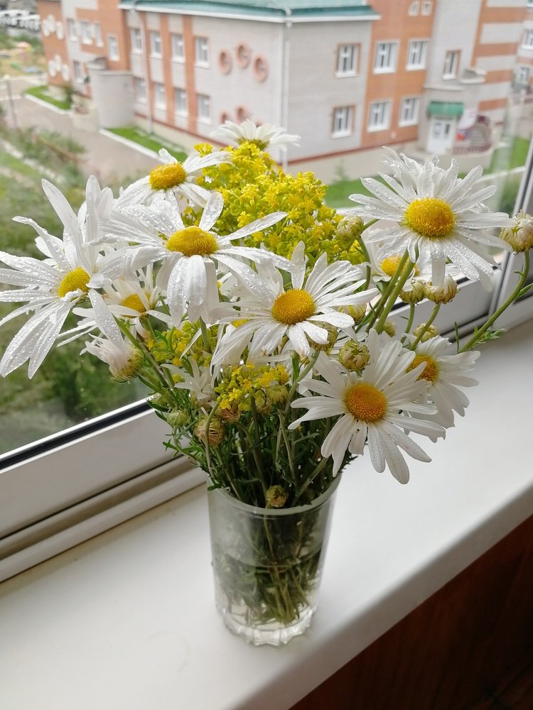 Photograph by Надежда Моряхина