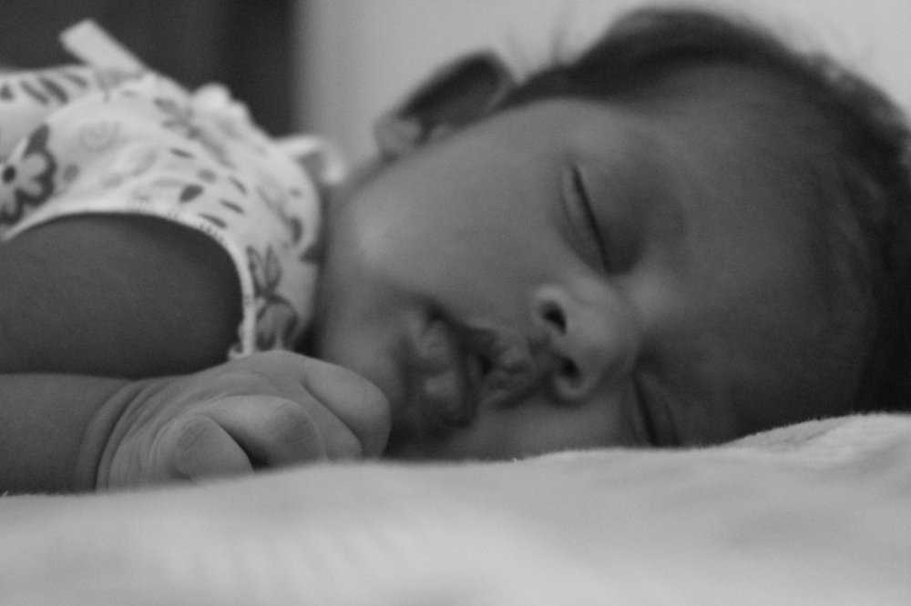 Photograph by sameera madushantha