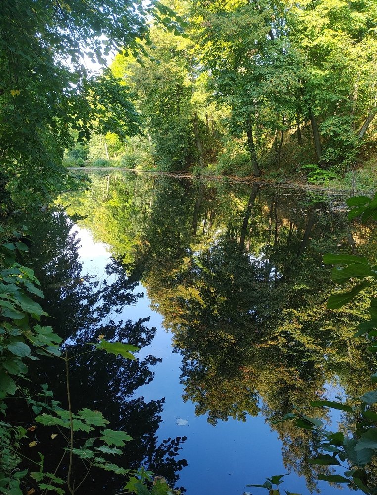 Уж небо осенью дышало....