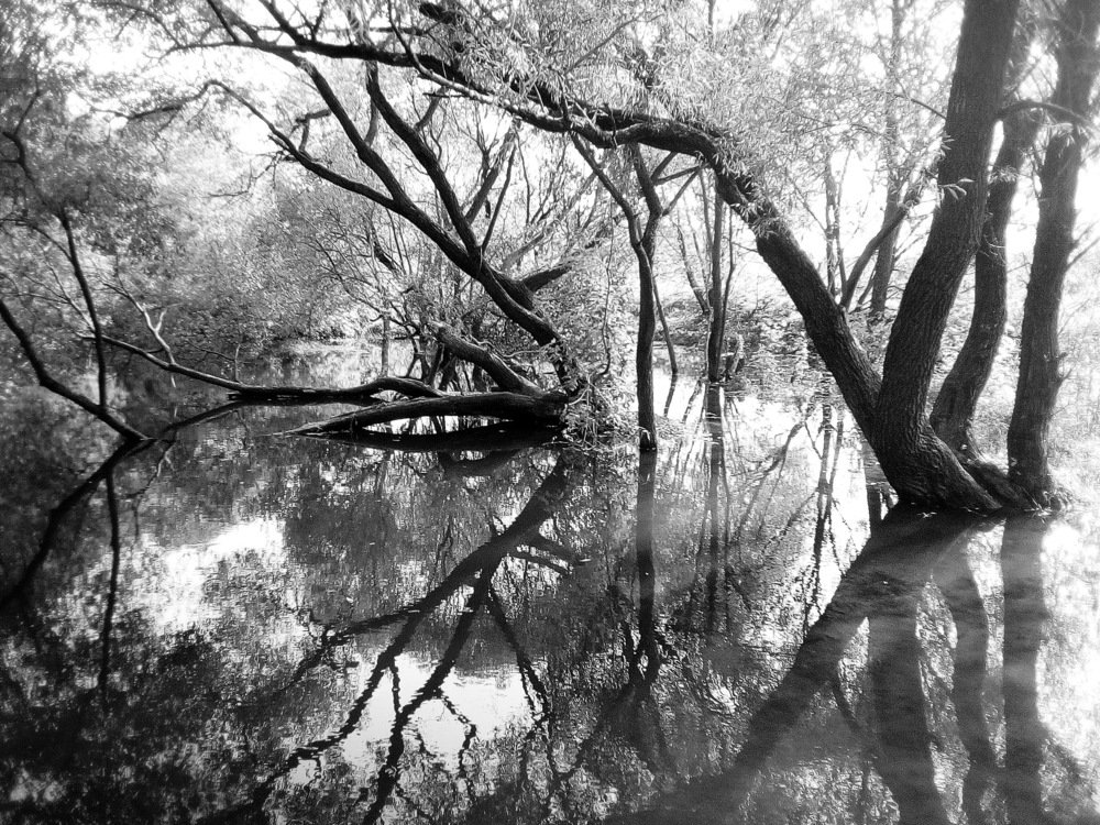 Photograph by Вадим Беляев