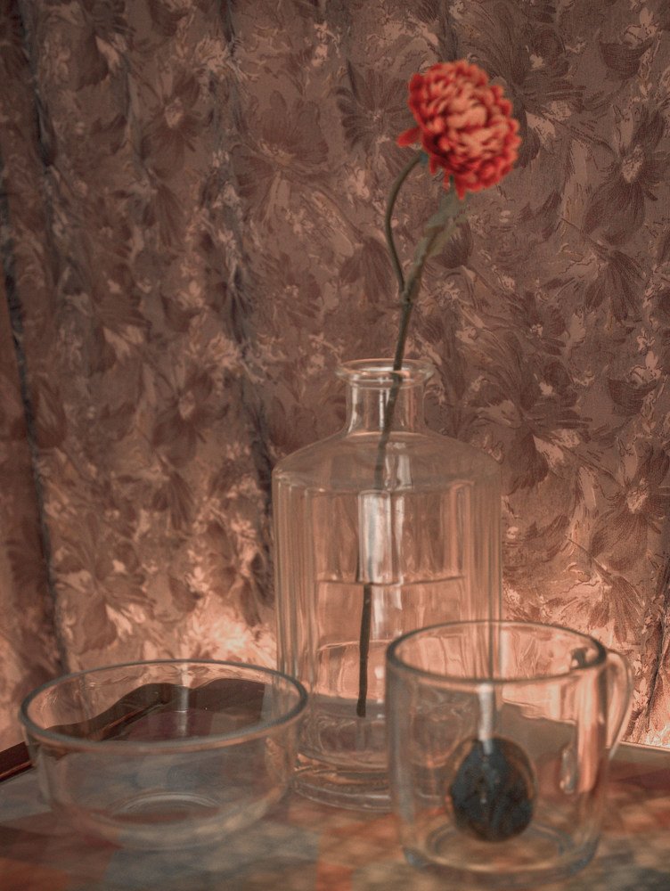 Photograph by Alla Shapochnik