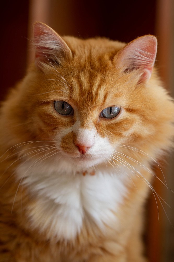 Photograph by Таня Короткова