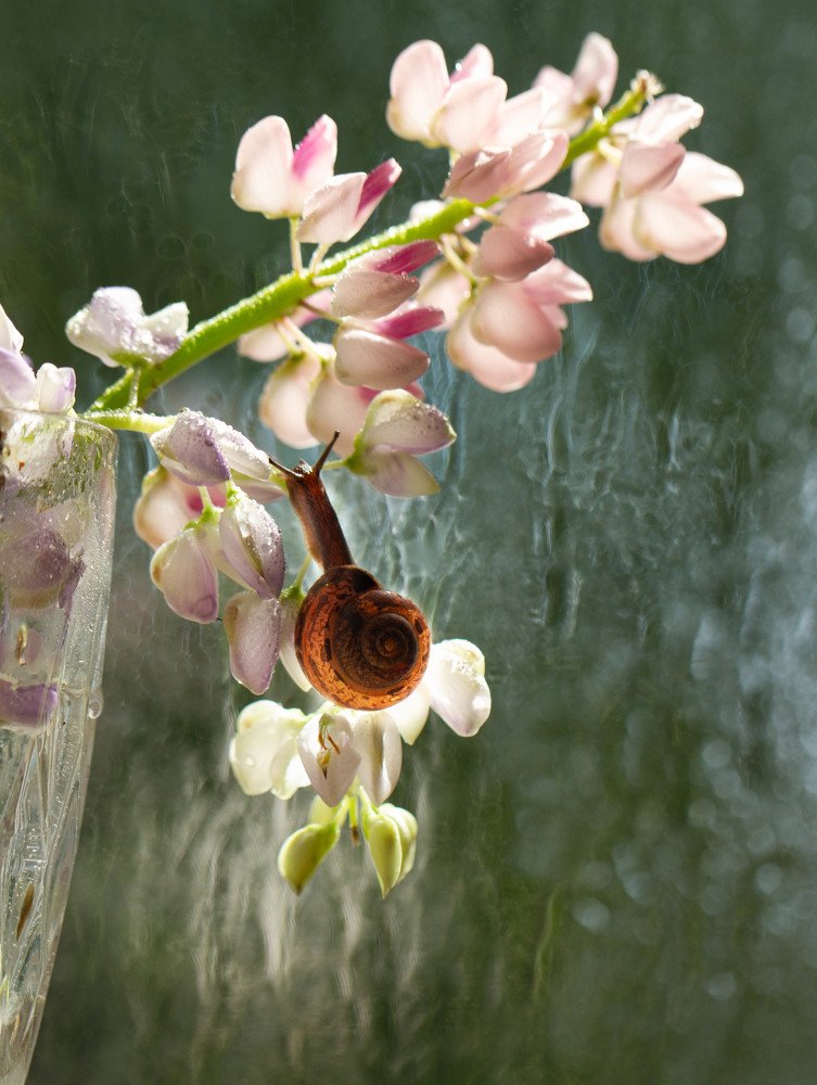 Photograph by Таня Короткова