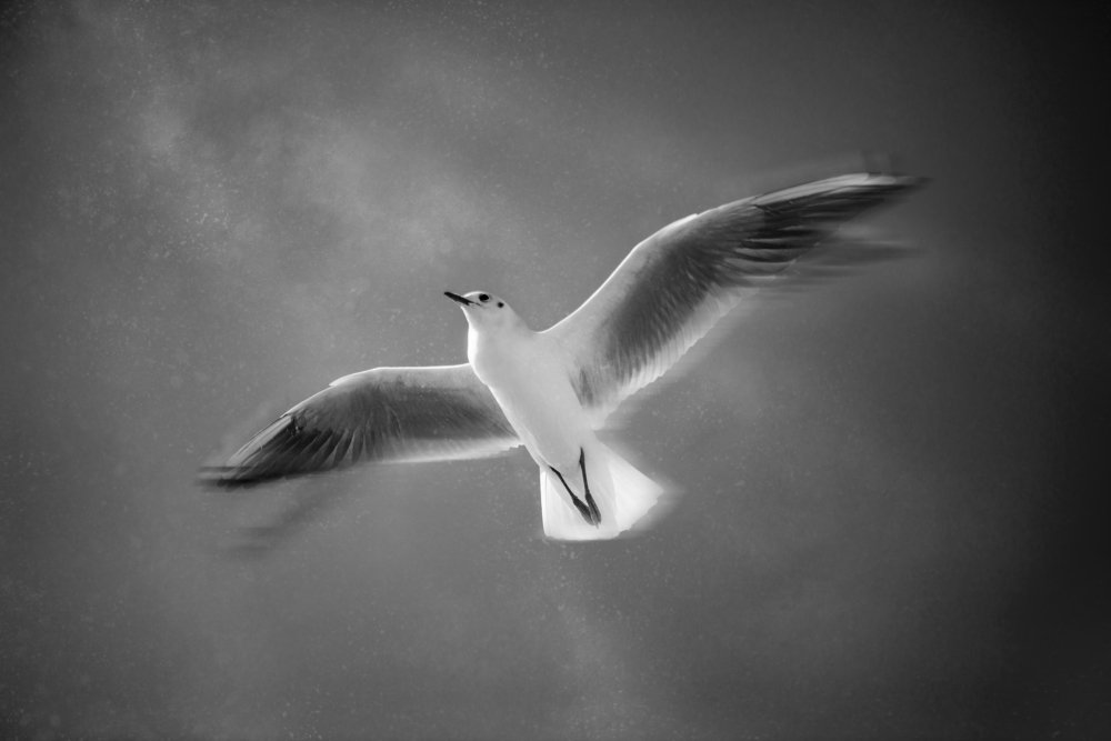 Photograph by Алексей Карпинчик