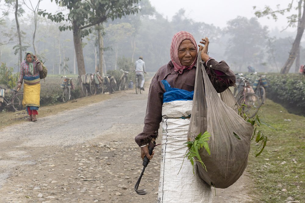 Photograph by Raju Das