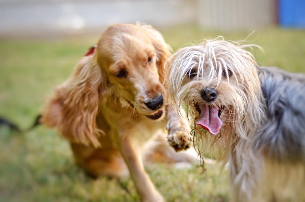 Фотография автора Anna Larina