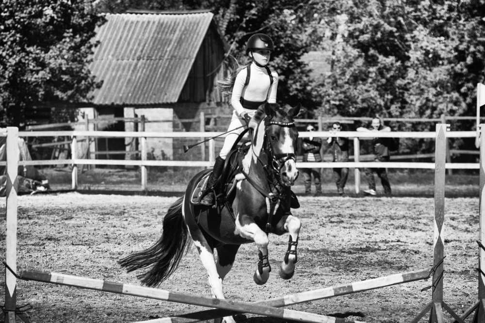 В стремительном галопе