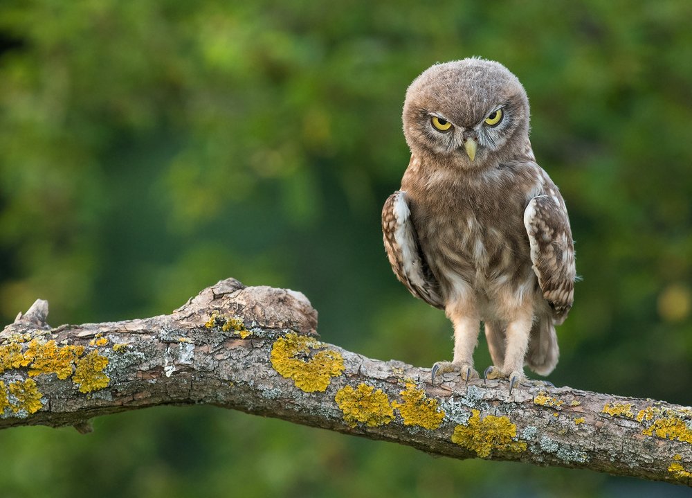 Photograph by Dariusz Dryl