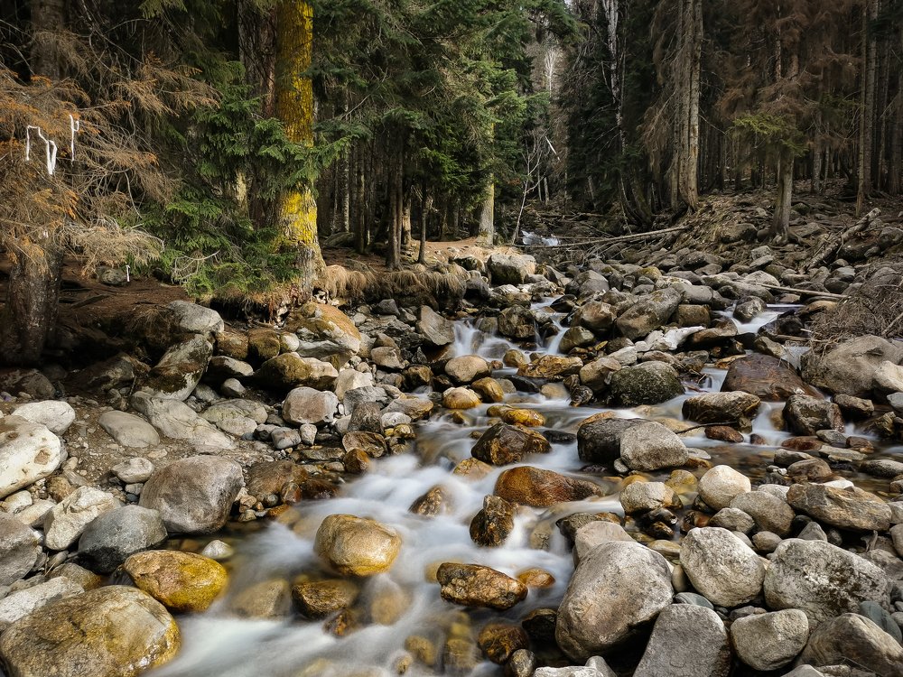 Photograph by Владлен Халимов
