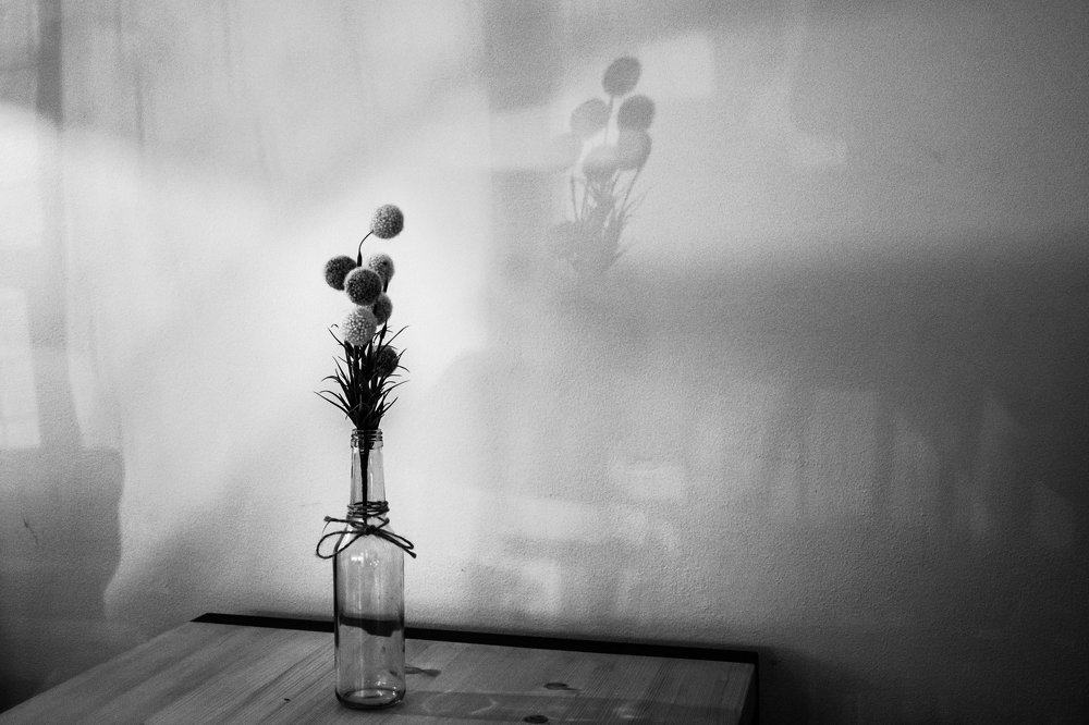 Photograph by Lucie Mojžíšová