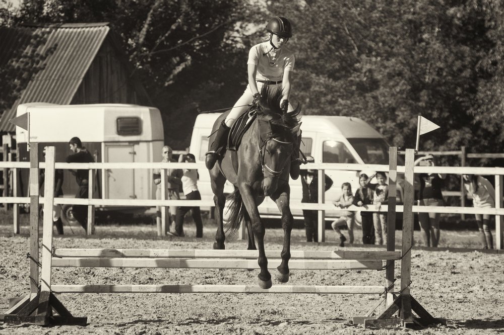 Обуздание жеребца