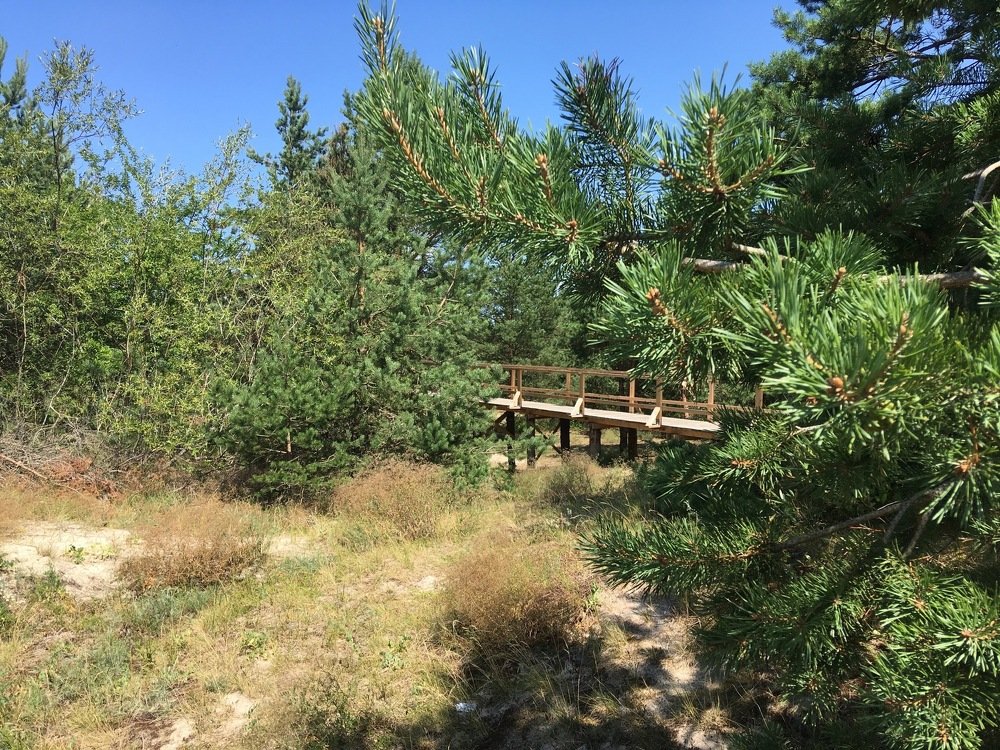 Photograph by Vladislavas Lavrinovicius