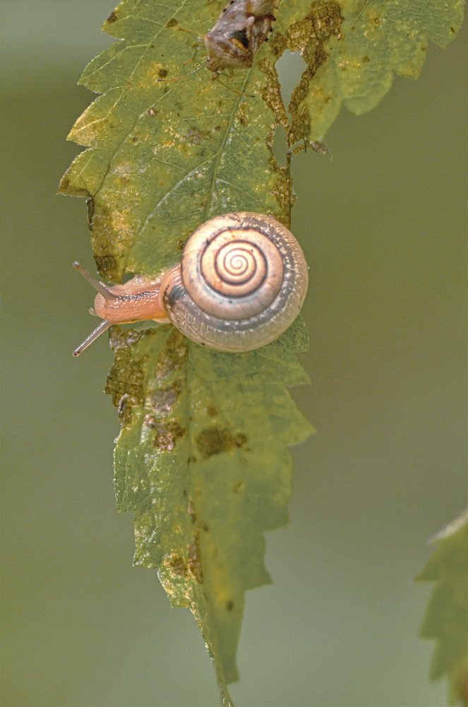 Photograph by Сергей Балухта