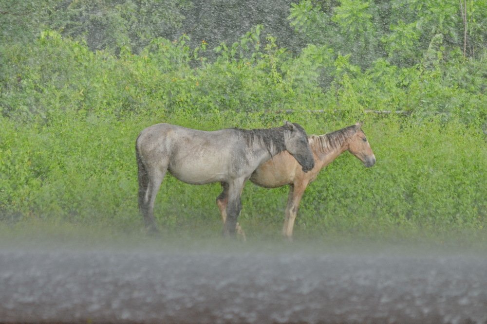 Photograph by Marzio Fattorini