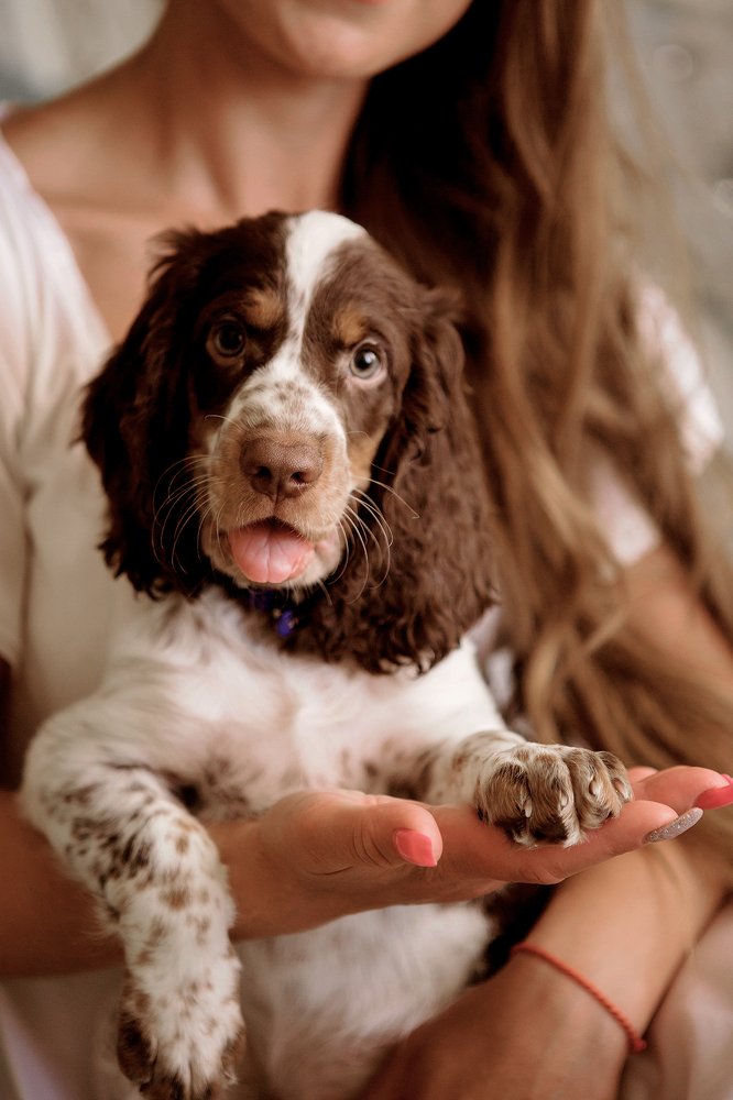 Photograph by Анастасия Данилова