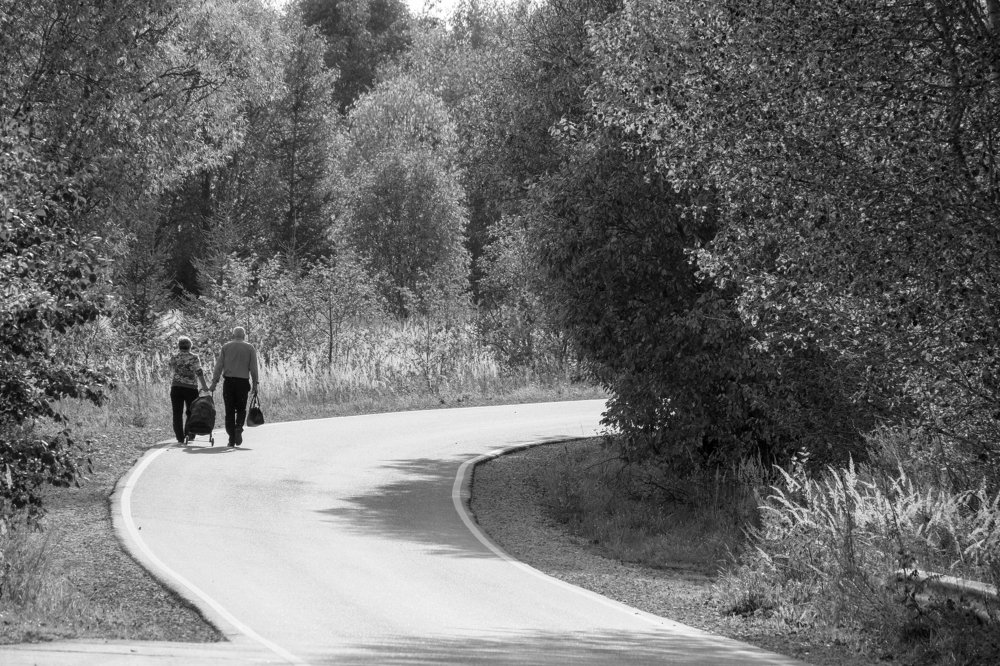 Photograph by Михаил Серебренников