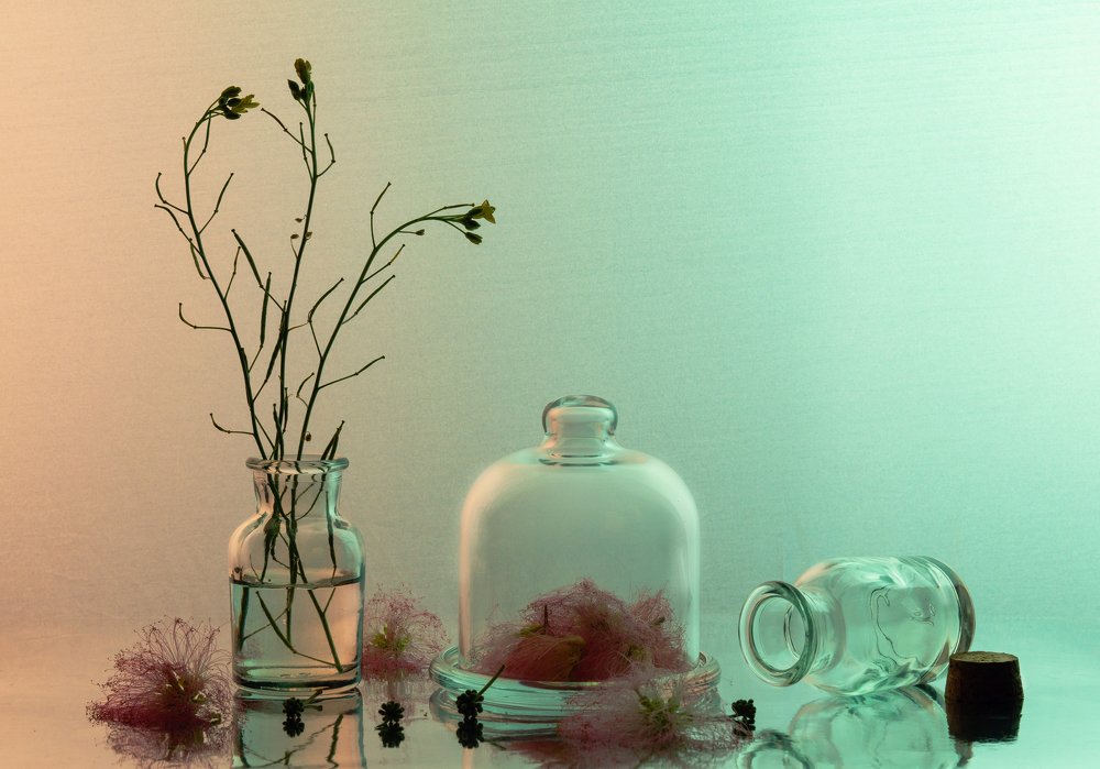 Photograph by Евгений