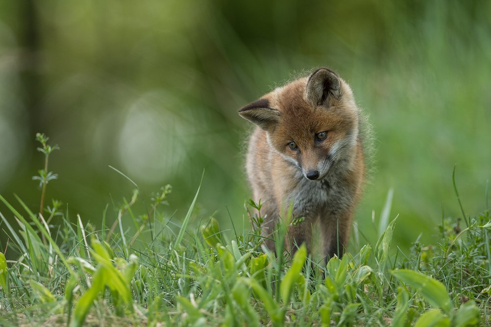 Photograph by Dariusz Dryl