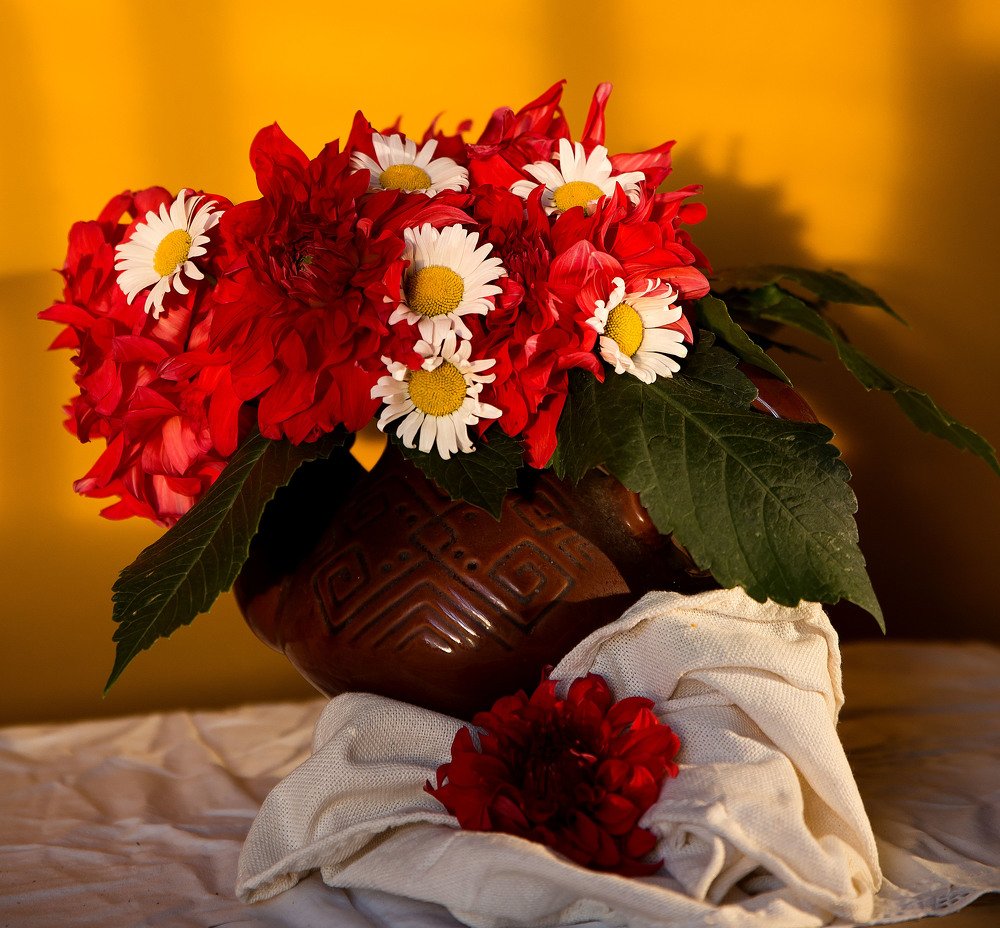 Дачная радость