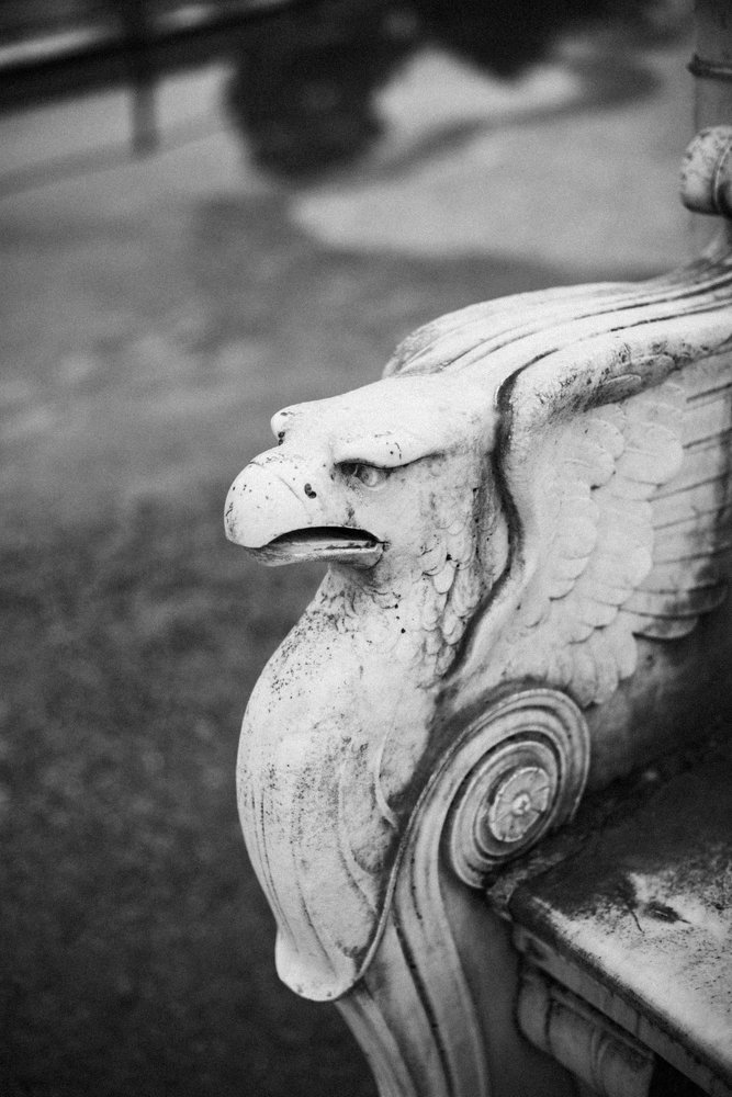 Photograph by Julia Guest