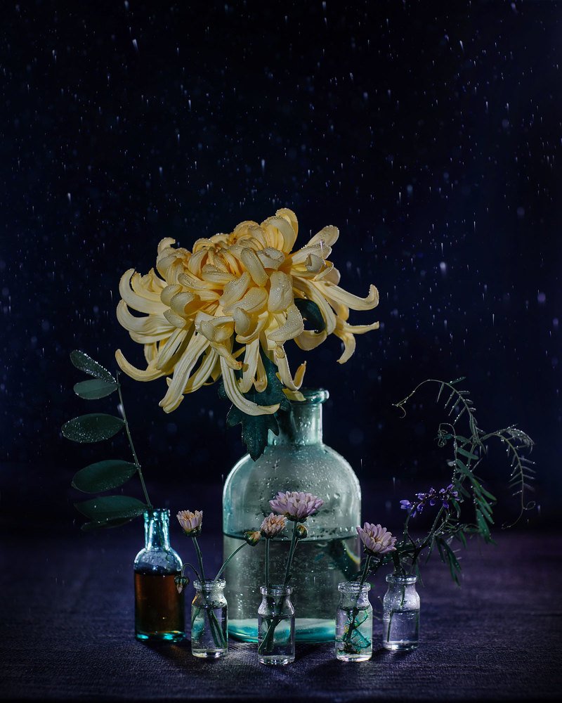 Photograph by Александра Крутова