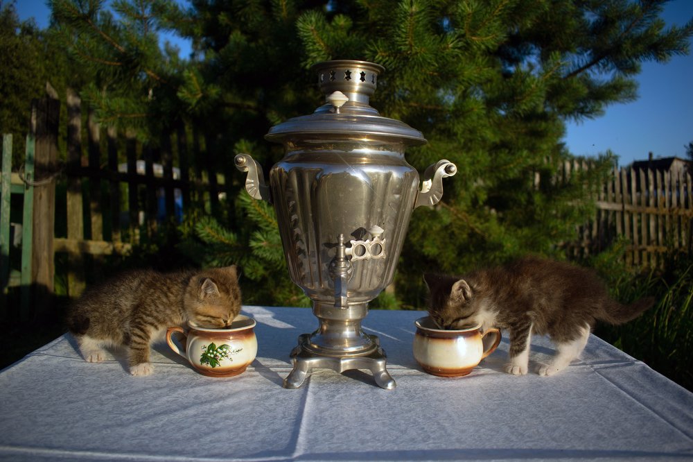 Photograph by Виктор Бурмистров