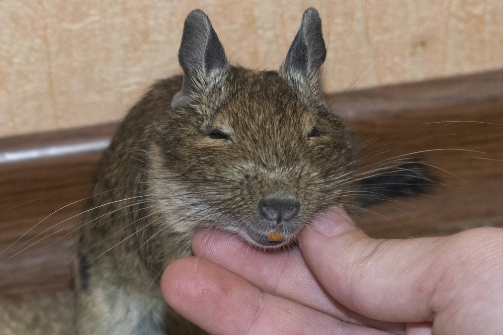 Photograph by Виктор Бурмистров