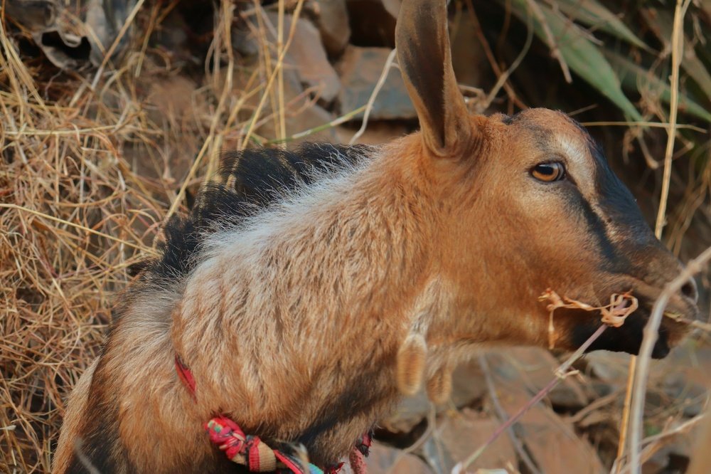 Photograph by Rassam Ali AL baadani