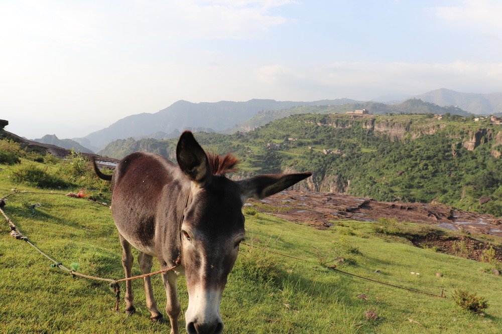 Photograph by Rassam Ali AL baadani