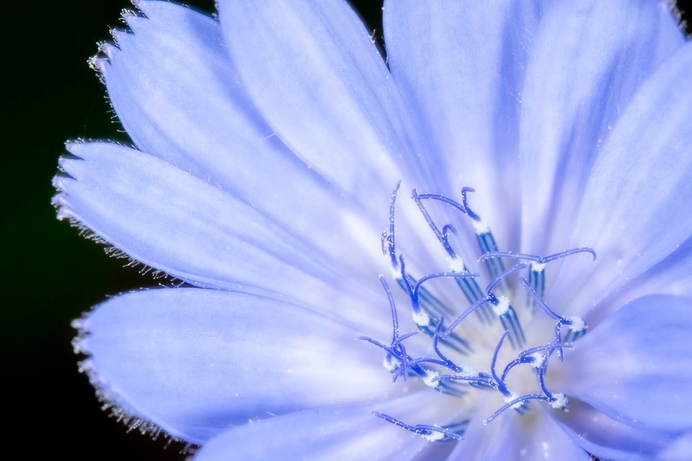 Фотография автора Vasileios Karapanagiotidis