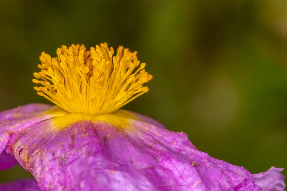 Фотография автора Vasileios Karapanagiotidis