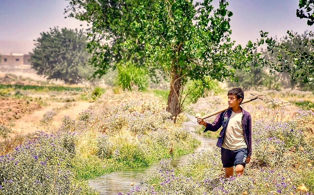 Farmer child