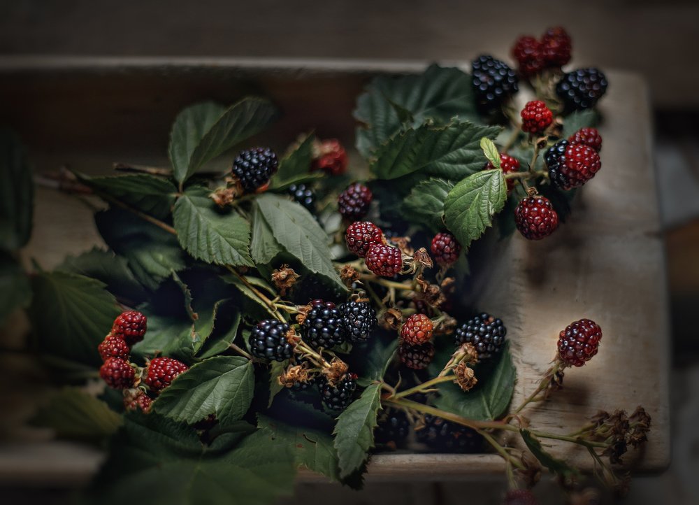 Привет от лета.