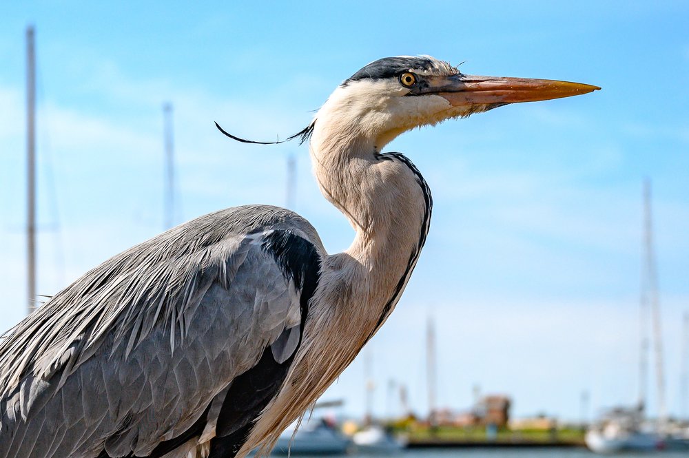 Photograph by Юрий Бершадский