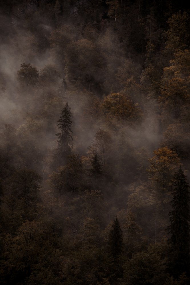 Photograph by Olga Gantman