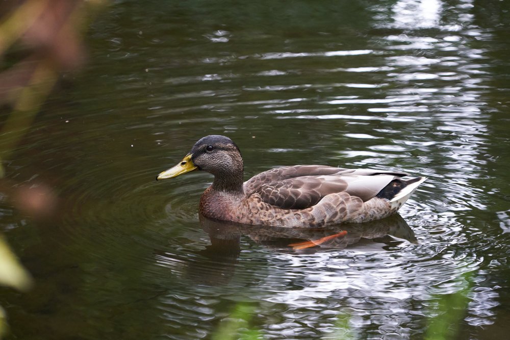 Photograph by Евгения Турушева